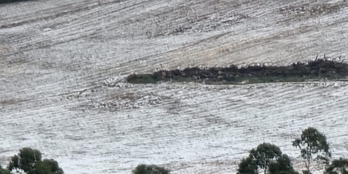 Vídeo: forte chuva de granizo deixa parte de fazenda coberta de gelo em Poços de Caldas