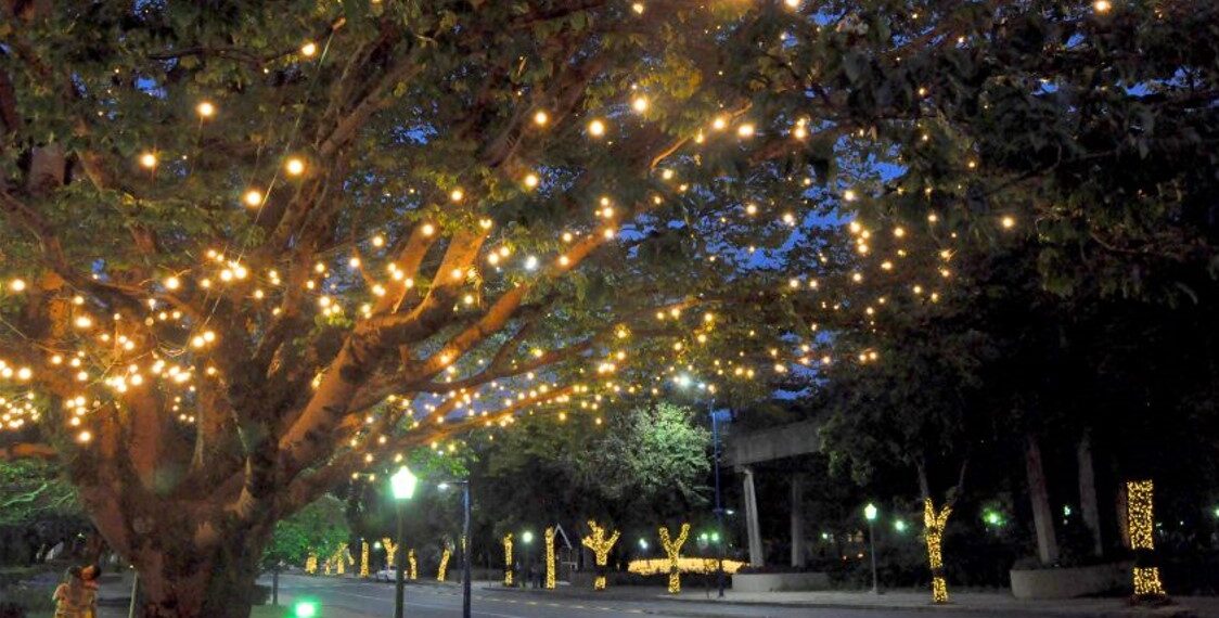 Luzes de Natal serão inauguradas oficialmente nesta sexta (04) em Poços de Caldas