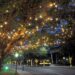 Luzes de Natal serão inauguradas oficialmente nesta sexta (04) em Poços de Caldas