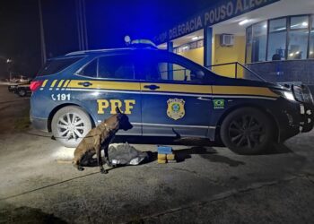 Motorista é flagrado transportando cocaína e pasta base no sul de Minas