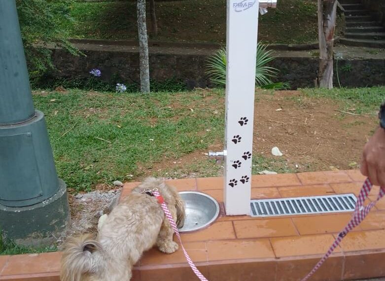 DMAE Poços de Caldas instala bebedouros adaptados para pessoas e animais