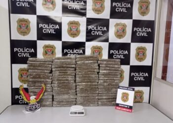 PCSP apreende 72 tijolos de maconha e prende casal por tráfico
