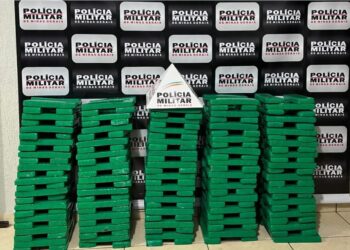 Mulheres presas com 240 tabletes de maconha em motel vão para presídio de Botelhos