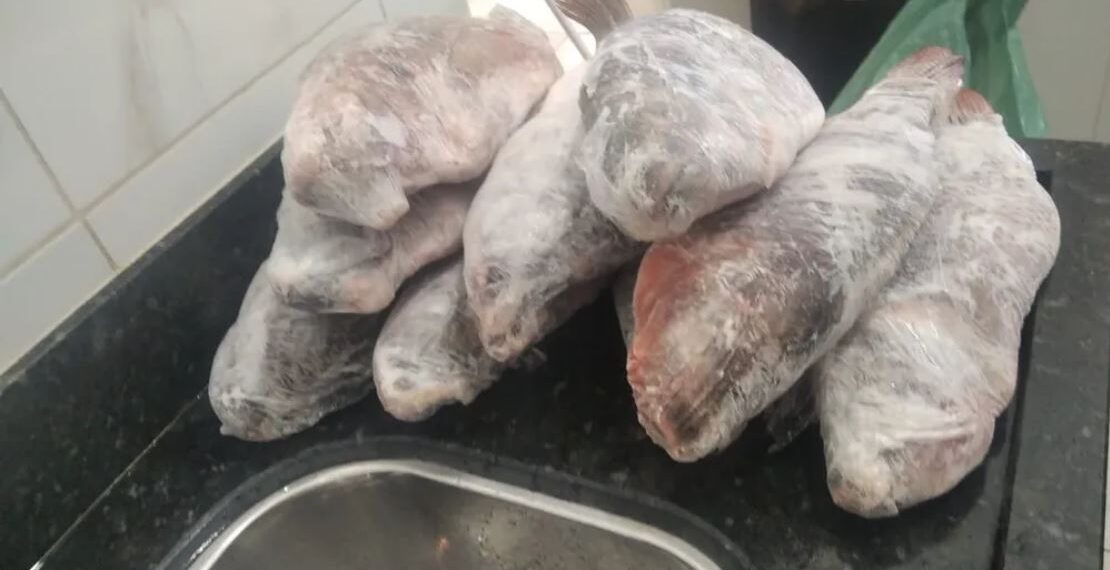PMSP apreende 268 kg de pescado e aplica R$ 7 mil em multas