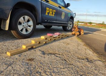 PRF apreende mais de R$570 mil em drogas no Sul de Minas