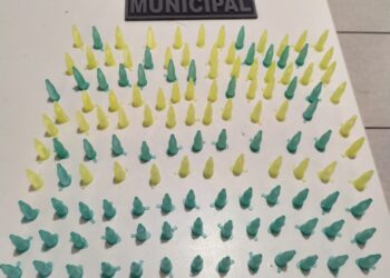 130 pinos de cocaína são apreendidos pela Guarda Municipal em Andradas