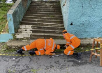 Em menos de uma semana 3 cobras três cobras foram capturadas em Colégio em Poços de Caldas