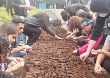 Parceria entre o Parque Ambiental da Alcoa e a  Escola Criativa Idade apresenta excelentes resultados