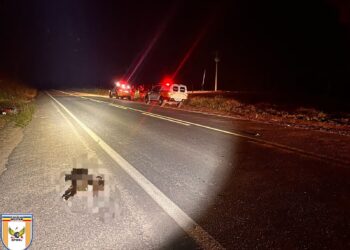 Motociclista embriagado atropela cão e sofre acidente em Poços 