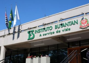 Vacina contra a dengue do Butantan atinge eficácia de 79,6%