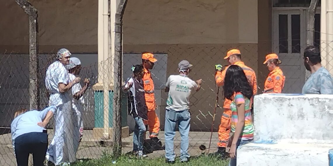 Bombeiros são acionados após aparição de cobras em escola de Poços de Caldas