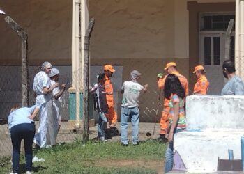 Bombeiros são acionados após aparição de cobras em escola de Poços de Caldas