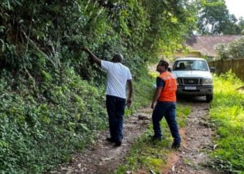 Defesa Civil realizará a retirada de árvores com risco de queda no Colégio Municipal de Poços de Caldas