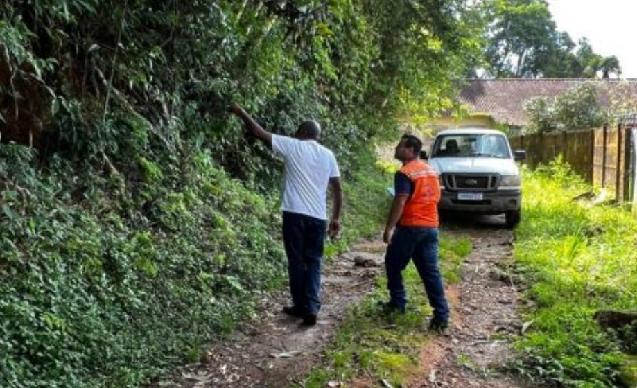 Defesa Civil realizará a retirada de árvores com risco de queda no Colégio Municipal de Poços de Caldas