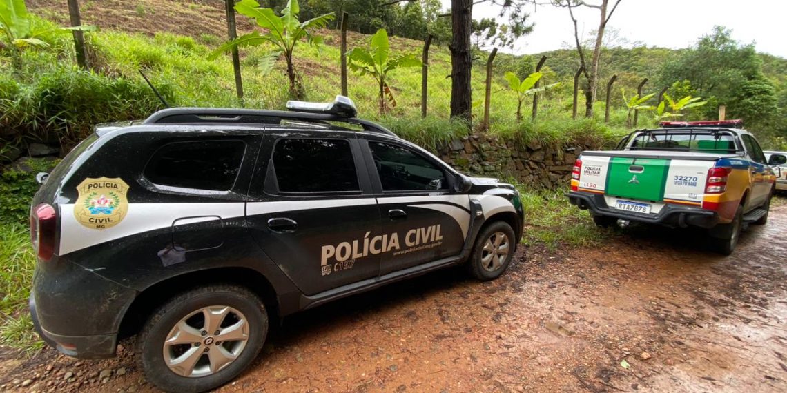 Mistério: sete cavalos são encontrados mortos em Poços de Caldas