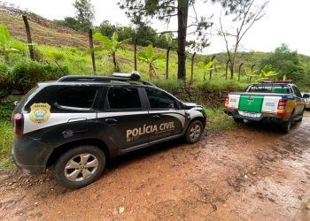 Mistério: sete cavalos são encontrados mortos em Poços de Caldas