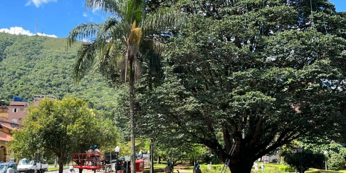 Decoração de Natal começa a ser retirada em Poços de Caldas