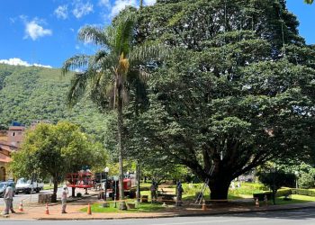 Decoração de Natal começa a ser retirada em Poços de Caldas
