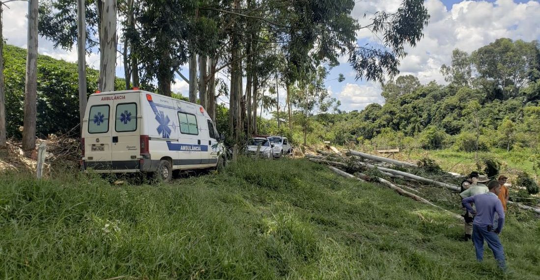 Idoso morre após ser atingido por eucalipto em Campestre-MG