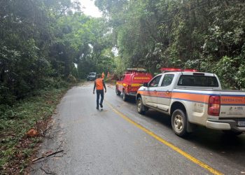 Queda de árvore e deslizamento de terra interditam estrada de acesso ao Cristo Redentor em Poços de Caldas
