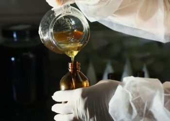 Projeto quer garantir medicamentos fitoterápicos para tratamentos do SUS em Poços de Caldas