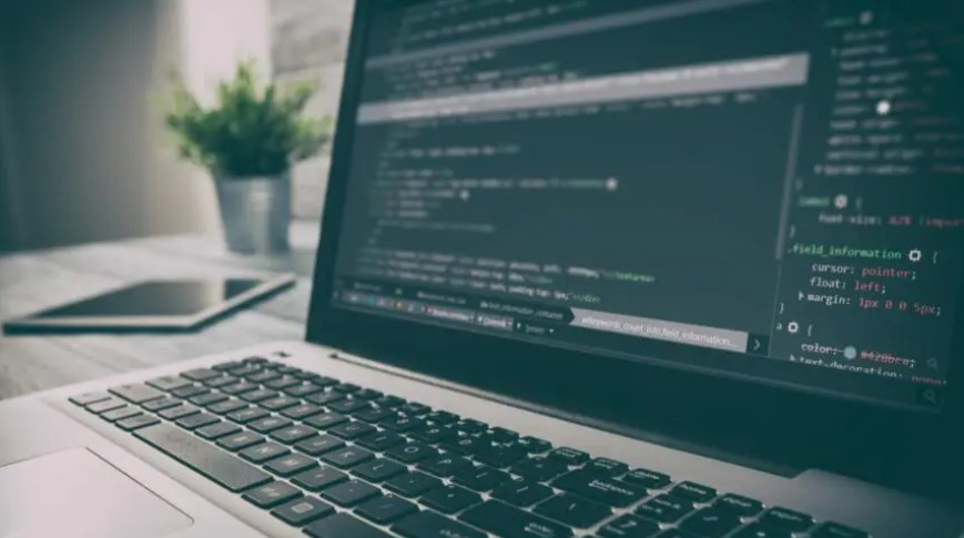 Governo de Minas oferece acesso gratuito a curso de Programação da Universidade Harvard