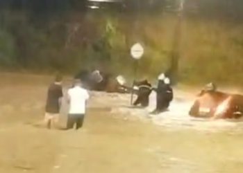 Vídeo: Bombeiros resgatam ocupantes de veículos que ficaram ilhados por conta da chuva em Poços de Caldas