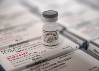 Minas Gerais recebe primeiras doses de vacinas bivalentes contra covid