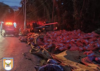 Caminhoneiro morto em acidente será sepultado em Maria da Fé 
