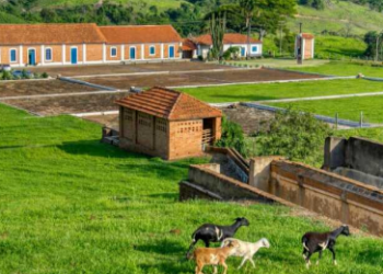 Mulheres da Região Vulcânica se reúnem para debater o futuro da cafeicultura