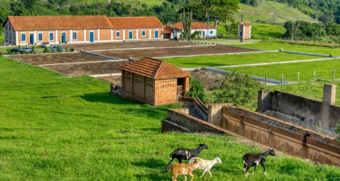 Mulheres da Região Vulcânica se reúnem para debater o futuro da cafeicultura