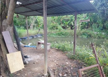 Homem é encontrado morto em Poços de Caldas