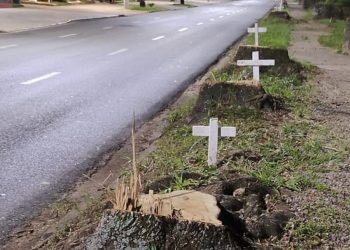Como protesto, cruzes são afixadas após corte de árvores em avenida Poços de Caldas