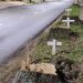Como protesto, cruzes são afixadas após corte de árvores em avenida Poços de Caldas