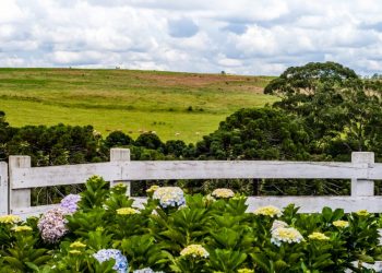 Paisagens e vivências rurais são atrativos para os turistas em Poços de Caldas