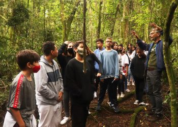 Alcoa inicia novas turmas do Programa Cultivando a Mata Atlântica