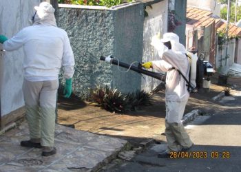 Andradas confirma 1º caso de chikungunya