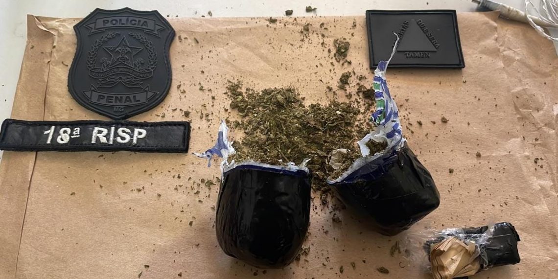 Visitante tenta entrar em presídio com drogas escondidas em partes íntimas