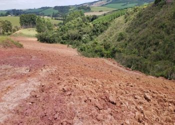 Fazenda de Poços de Caldas é autuada em quase R$ 400 mil durante operação de combate ao desmatamento