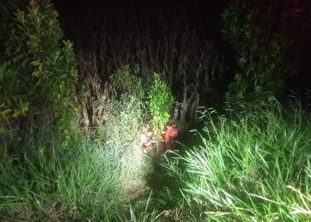 Caminhonete cai em ladeira após colisão com outro veículo em Botelhos