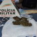 PM apreende drogas e infratores em operação contra o tráfico de drogas em Poços de Caldas