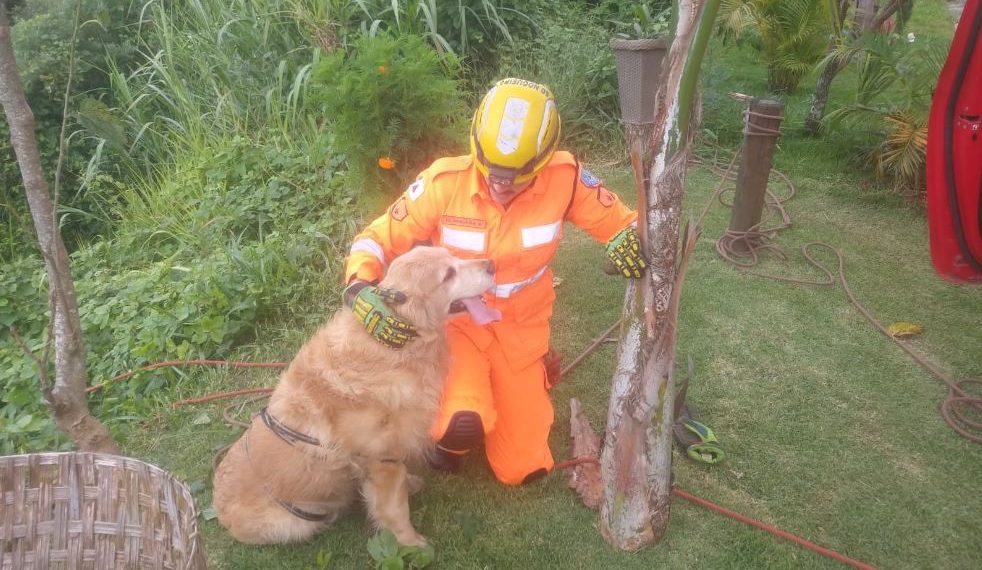Vídeo: cão é resgatado por bombeiros após queda em barranco de quase 8 metros em Poços de Caldas