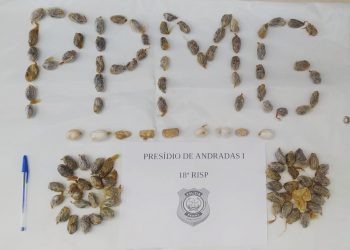 Drogas são encontradas em intestino de detento em Andradas