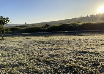 Com previsão de 2 °C para os próximos dias, Defesa Civil orienta a população sobre chegada de frente fria