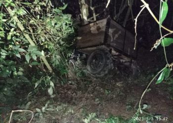 Jovem fica ferido após carretinha cair em barranco