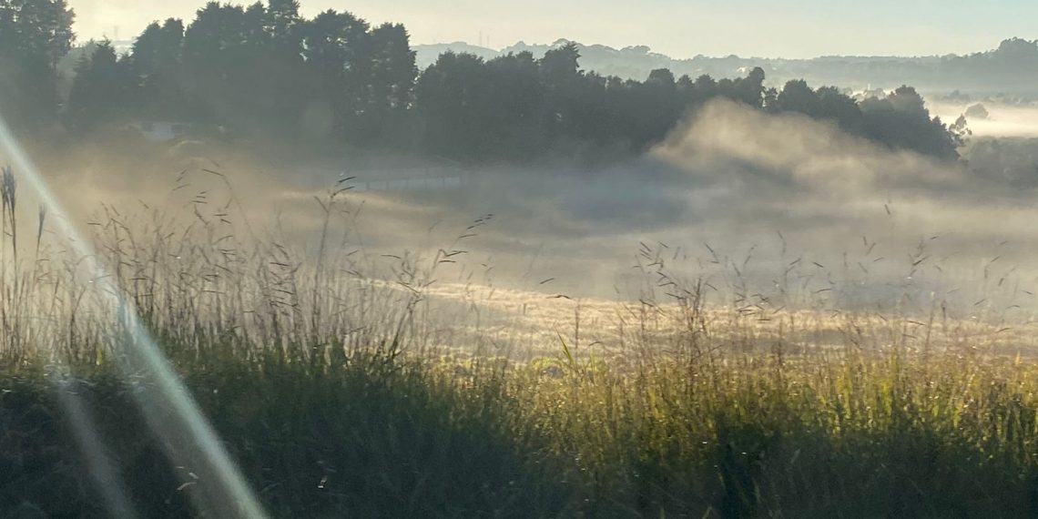 Poços de Caldas registra pontos de geada e previsão é de mais frio nos próximos dias