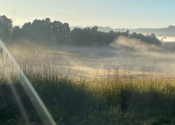 Poços de Caldas registra pontos de geada e previsão é de mais frio nos próximos dias