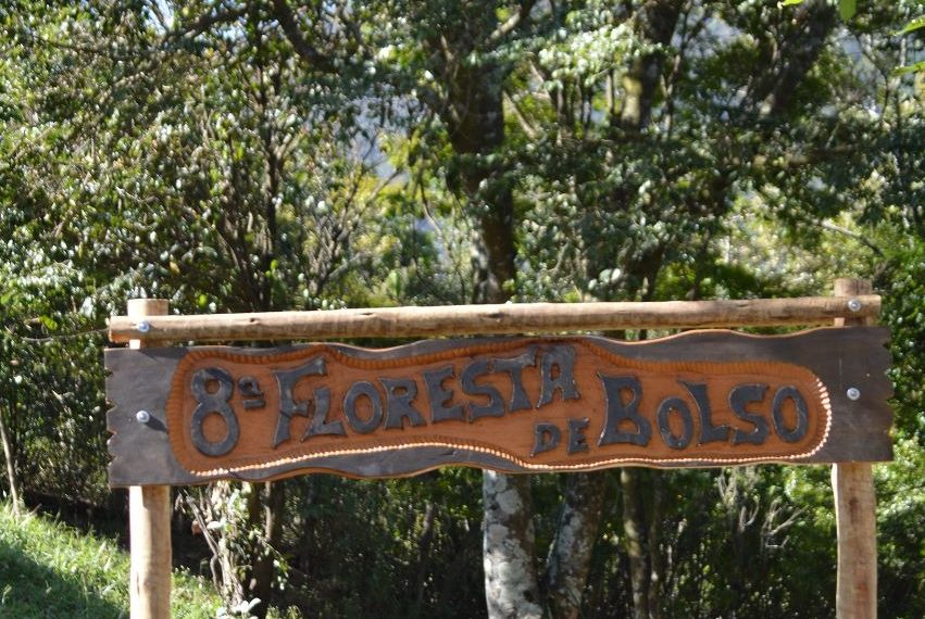 APS e Alcoa inauguram 8ª Floresta de Bolso em Poços