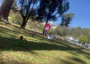 Vídeo: homem é flagrado agredindo mulher com socos no Parque Municipal de Poços