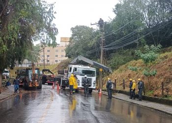 Queda de árvore interdita trecho da Rua Argentina em Poços